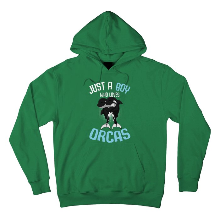 Just A Boy Who Loves Orcas Killer Whale Hoodie