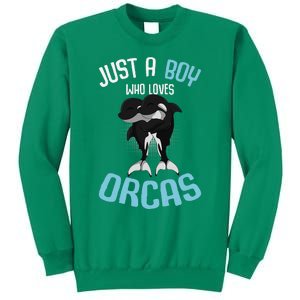 Just A Boy Who Loves Orcas Killer Whale Sweatshirt