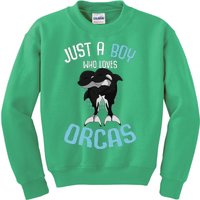 Just A Boy Who Loves Orcas Killer Whale Kids Sweatshirt