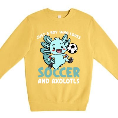 Just A Boy Who Loves Axolotls And Soccer Player Gift Premium Crewneck Sweatshirt