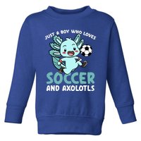 Just A Boy Who Loves Axolotls And Soccer Player Gift Toddler Sweatshirt