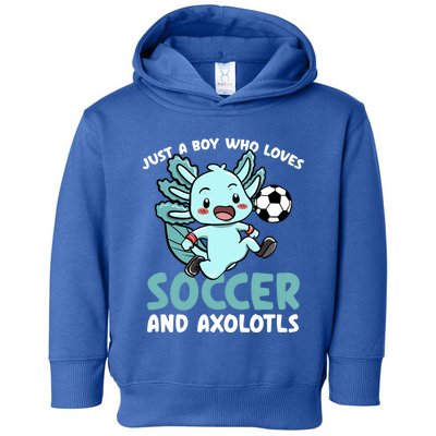 Just A Boy Who Loves Axolotls And Soccer Player Gift Toddler Hoodie