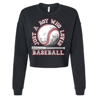 Just A Boy Who Loves Baseball Cropped Pullover Crew