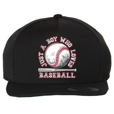 Just A Boy Who Loves Baseball Wool Snapback Cap