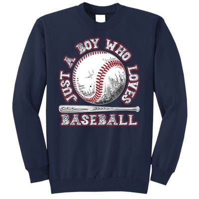 Just A Boy Who Loves Baseball Tall Sweatshirt