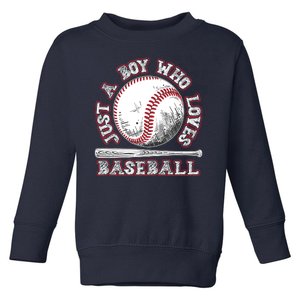 Just A Boy Who Loves Baseball Toddler Sweatshirt