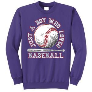 Just A Boy Who Loves Baseball Sweatshirt