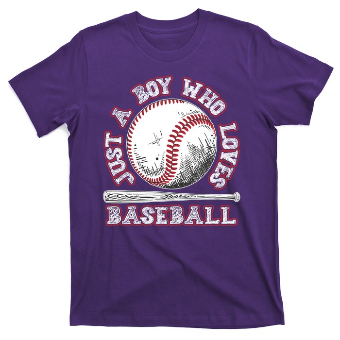 Just A Boy Who Loves Baseball T-Shirt