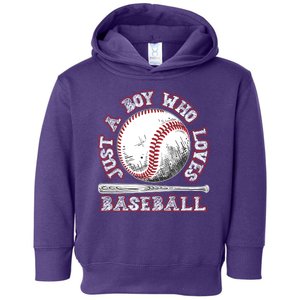 Just A Boy Who Loves Baseball Toddler Hoodie