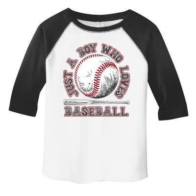 Just A Boy Who Loves Baseball Toddler Fine Jersey T-Shirt