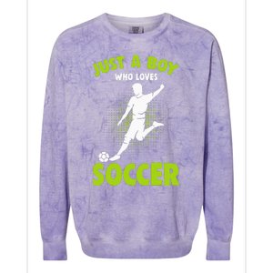 Just A Boy Who Loves Soccer Player Kids Colorblast Crewneck Sweatshirt