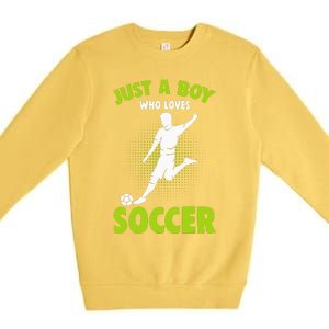 Just A Boy Who Loves Soccer Player Kids Premium Crewneck Sweatshirt