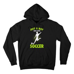 Just A Boy Who Loves Soccer Player Kids Hoodie