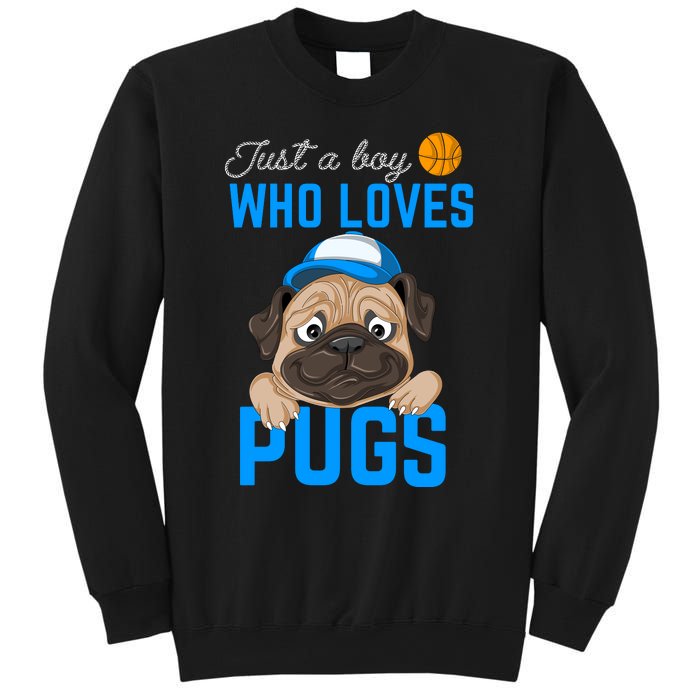 Just A Boy Who Loves Pugs Sweatshirt