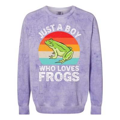 Just A Boy Who Loves Frogs Colorblast Crewneck Sweatshirt