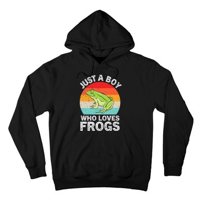 Just A Boy Who Loves Frogs Hoodie