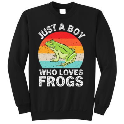 Just A Boy Who Loves Frogs Sweatshirt