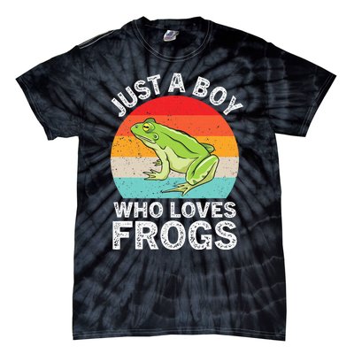 Just A Boy Who Loves Frogs Tie-Dye T-Shirt