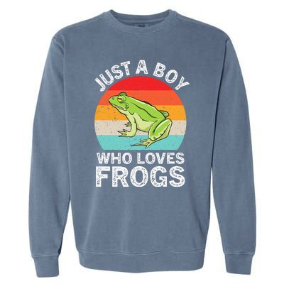 Just A Boy Who Loves Frogs Garment-Dyed Sweatshirt