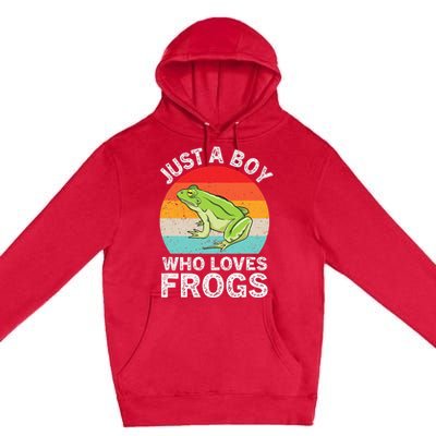 Just A Boy Who Loves Frogs Premium Pullover Hoodie