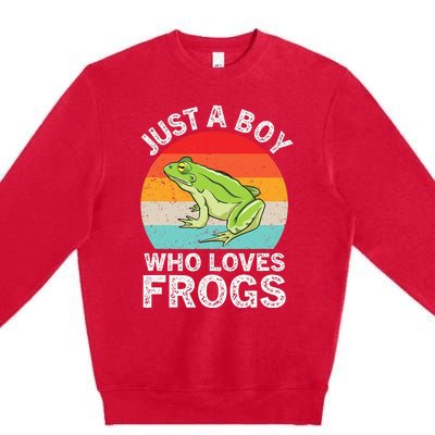 Just A Boy Who Loves Frogs Premium Crewneck Sweatshirt