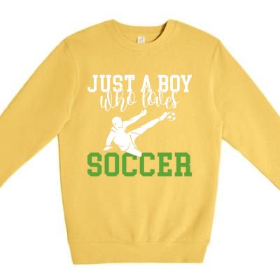 Just A Boy Who Loves Soccer Gift Premium Crewneck Sweatshirt