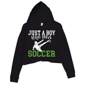 Just A Boy Who Loves Soccer Gift Crop Fleece Hoodie