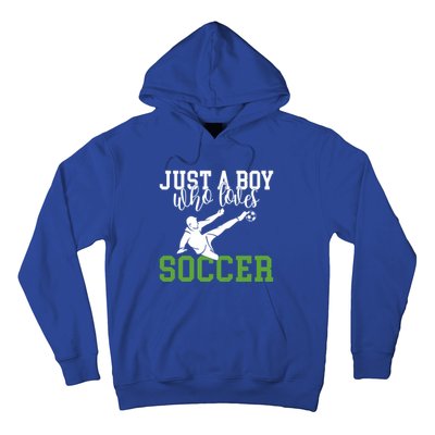 Just A Boy Who Loves Soccer Gift Hoodie