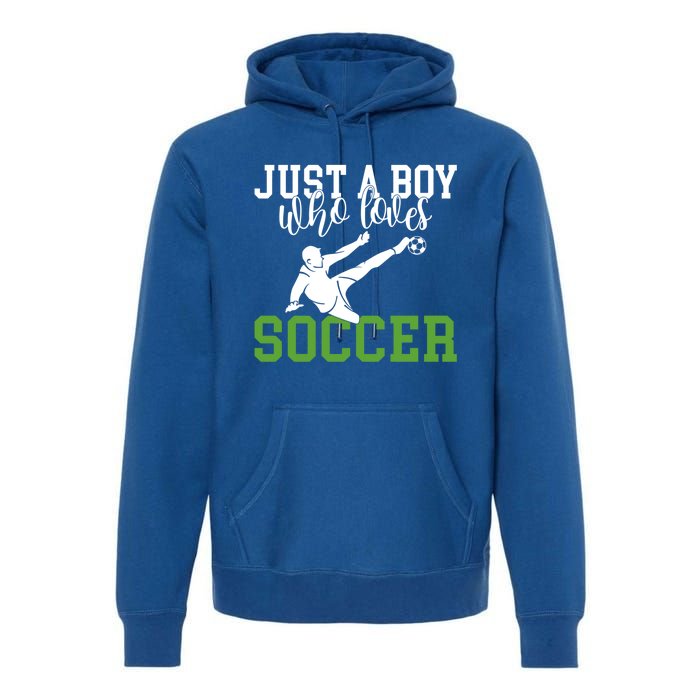 Just A Boy Who Loves Soccer Gift Premium Hoodie