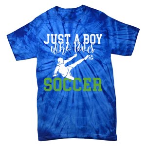 Just A Boy Who Loves Soccer Gift Tie-Dye T-Shirt