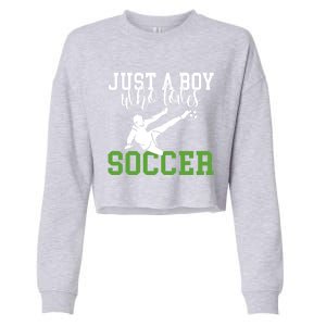 Just A Boy Who Loves Soccer Gift Cropped Pullover Crew