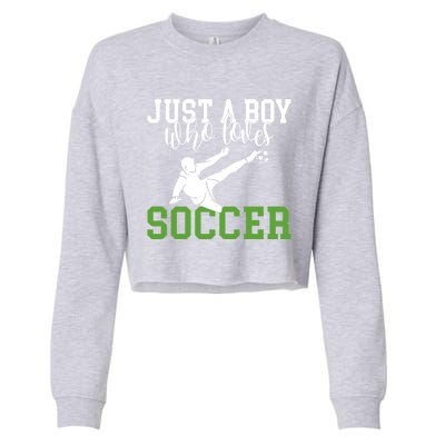 Just A Boy Who Loves Soccer Gift Cropped Pullover Crew