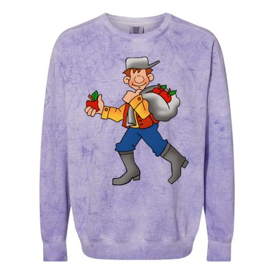 Johnny Appleseed Costume Funny Meme Colorblast Crewneck Sweatshirt