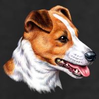 Jack Russell Dog 11oz C Handle Ceramic Mug