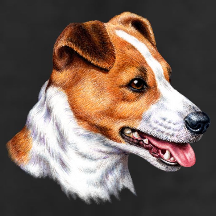 Jack Russell Dog 11oz C Handle Ceramic Mug