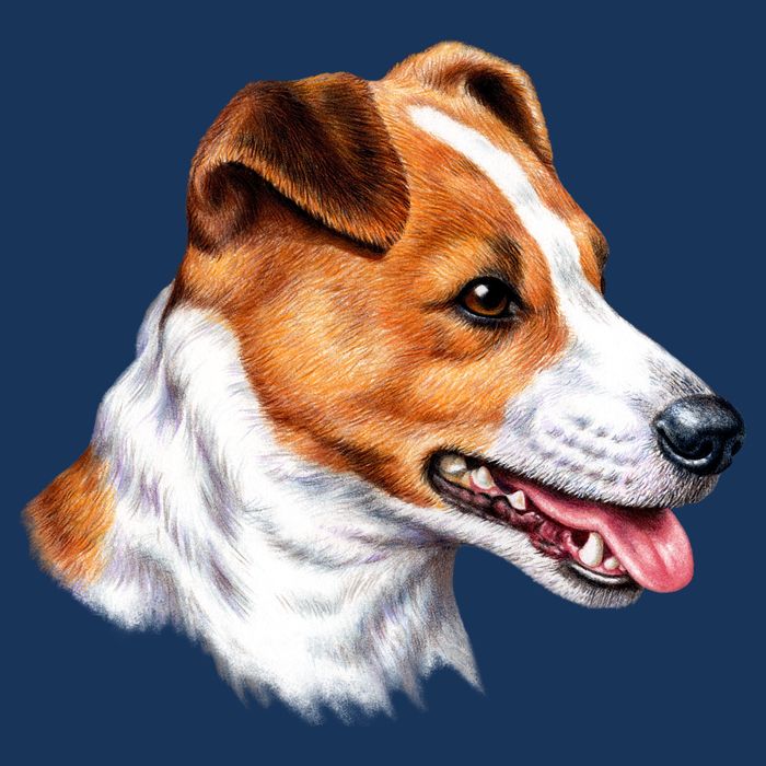 Jack Russell Dog Cooling Performance Crew T-Shirt