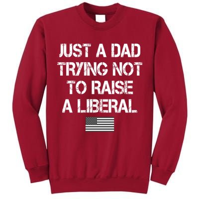 Just A Dad Trying Not To Raise A Liberal Father's Day Tall Sweatshirt
