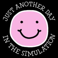Just Another Day In The Simulation 7-Panel Snapback Hat