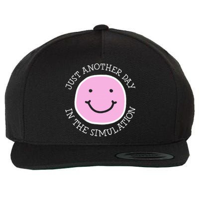 Just Another Day In The Simulation Wool Snapback Cap