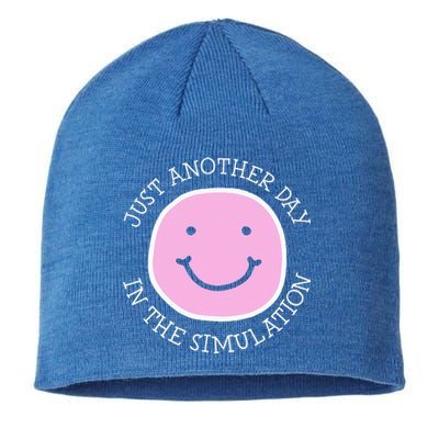 Just Another Day In The Simulation Sustainable Beanie