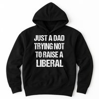 Just A Dad Trying Not To Raise A Liberal Hoodie