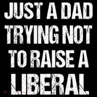 Just A Dad Trying Not To Raise A Liberal Wool Snapback Cap