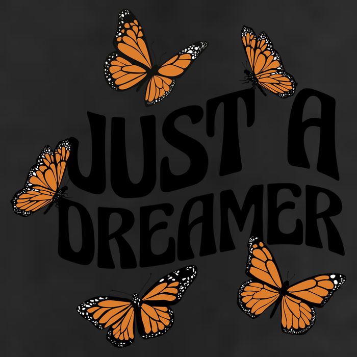 Just A Dreamer Butterfly Cute Gift 7 Panel Mesh Trucker Snapback Hat
