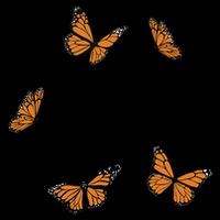 Just A Dreamer Butterfly Cute Gift Impact Tech Backpack