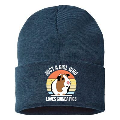 Just A Girl Who Loves Guinea Pigs Vintage Guinea Pig Sustainable Knit Beanie