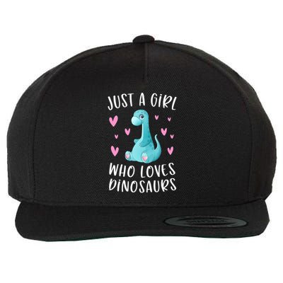 Just A Girl Who Loves Dinosaurs Cute Dinosaur Dino Lover Wool Snapback Cap