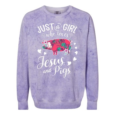 Just A Girl Who Loves Jesus And Pigs Farmer Lover Colorblast Crewneck Sweatshirt