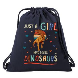 Just A Girl Who Loves Dinosaurs Funny Trex Drawstring Bag