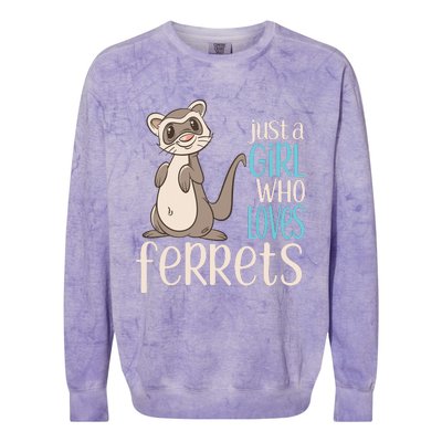 Just A Girl Who Loves Ferrets Gift For Girl Women Colorblast Crewneck Sweatshirt