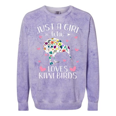 Just A Girl Who Loves Kiwis Cute Kiwi Lover Girls Kids Colorblast Crewneck Sweatshirt